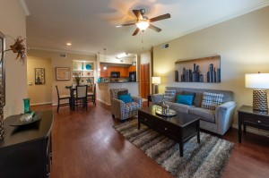 One Bedroom Apartments for Rent in Katy, TX - Living & Dining Rooms and Kitchen 