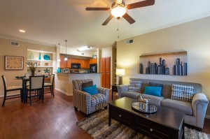 One Bedroom Apartments for Rent in Katy, TX - Living & Dining Rooms and Kitchen (2) 