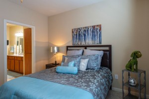 Two Bedroom Apartments for Rent in Katy, TX - Bedroom with view of Bathroom 